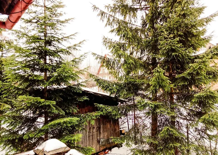 Kasprusie 扎科帕内